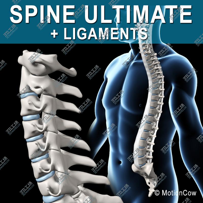 images/goods_img/20210313/Spine Ultimate/1.jpg